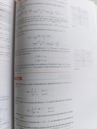 Inicia Matemáticas aplicadas a las Ciencias Soc...
