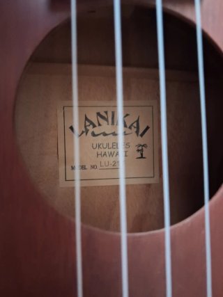 Ukelele Lanikai LU-21 T con funda