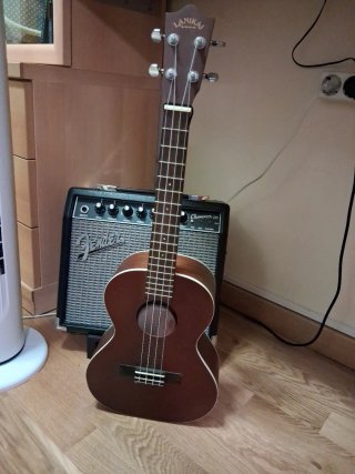 Ukelele Lanikai LU-21 T con funda