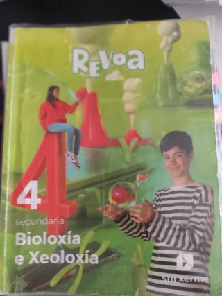 LINGUA E LITERATURA 4