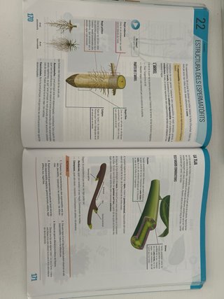 BIOLOGIA I GEOLOGIA 1