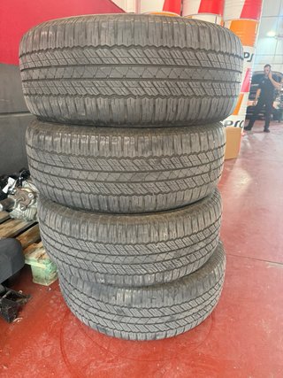 Ruedas Bridgestone Dueler AT 265/55R19