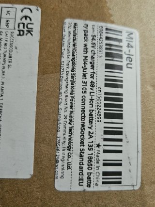 Cargador YYHQQBAD SJT-125E 54.6V 2A