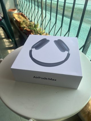 Airpods Max Apple