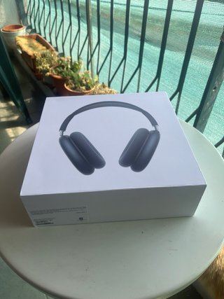 Airpods Max Apple
