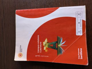 LLENGUA CATALANA I LITERATURA 1 BTX CONSTRUINT ...