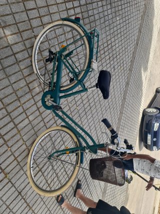 Bicicleta urbana verde con cesta