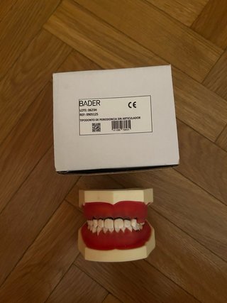Tipodonto Periodoncia Bader