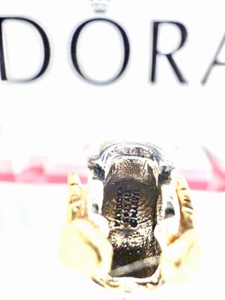 Pandora Charm Oro y Plata