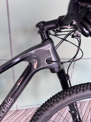 Cannondale Scalpel 2 2023 L XTR