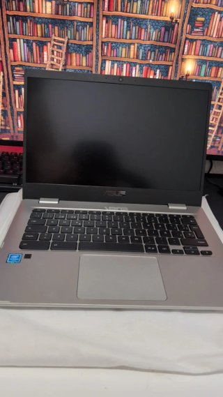 Chromebook Asus Gris/Blanco