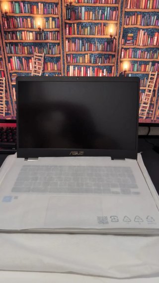 Chromebook Asus Gris/Blanco