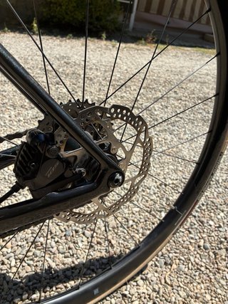 Orbea Orca