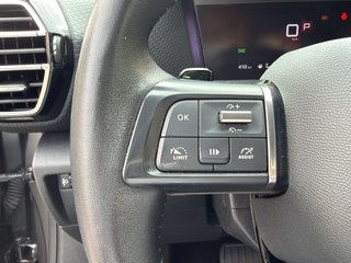 Citroen C4 BlueHDi 130 S&S Feel Pack EAT8 96 kW (130 CV)