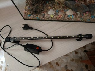 Acuario para peces con adornos