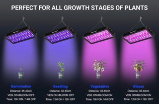 Lámpara Cultivo LED DragonLight BW1000