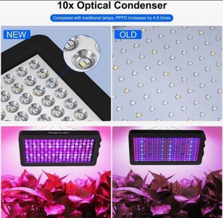 Lámpara Cultivo LED DragonLight BW1000