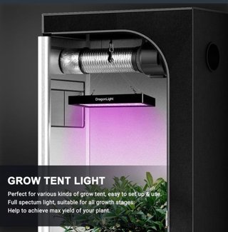 Lámpara Cultivo LED DragonLight BW1000