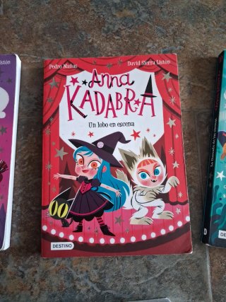Lote 6 libros(7 8 9 10 12 14) Anna Kadabra,