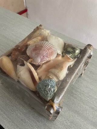 Decoración conchas marinas y madera