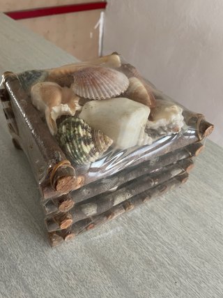 Decoración conchas marinas y madera