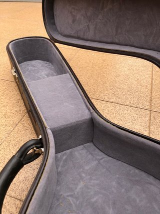 Funda dura para laúd