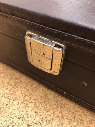 Funda dura para laúd