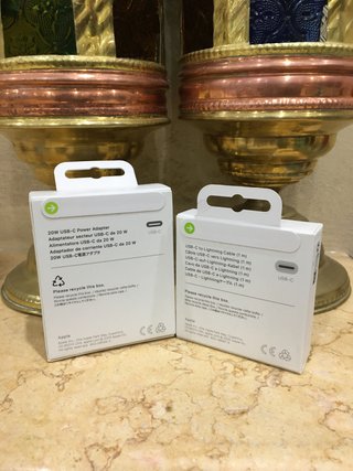 Set Caricabatterie Apple 20W + Cavo USB-C