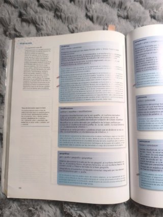 Lengua castellana y literatura, 2 Bachillerato