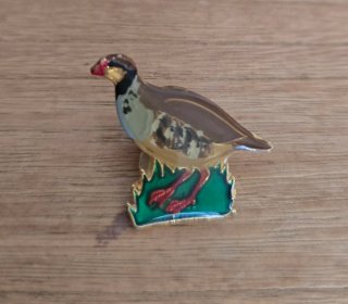 Pin de perdiz en base de hierba