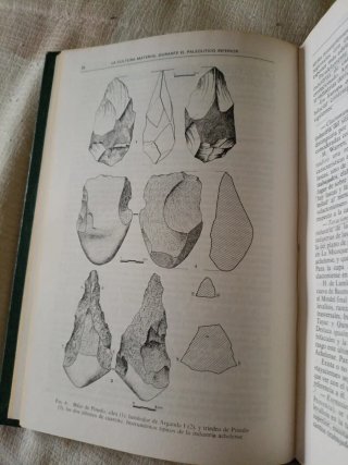 Manual de Historia Universal Prehistoria