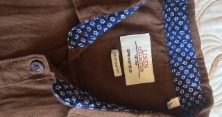 Camisa Springfield Hombre Marrón