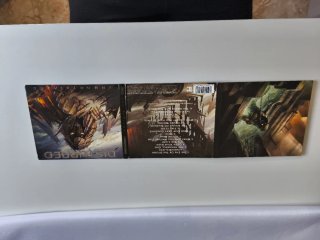 Disturbed Immortalized CD