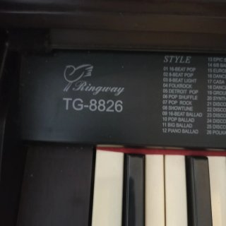 Piano Ringway TG-8826 88 teclas