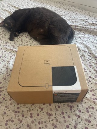Router Livebox 7 Orange