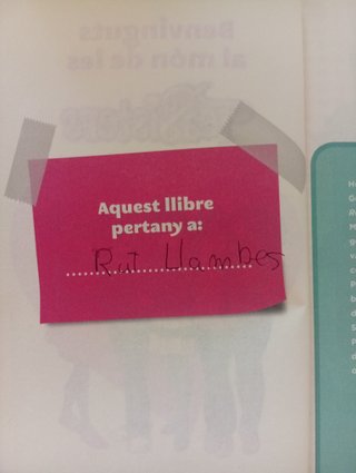 Llibre de Tea Stilton en Catalá i molt bon estat