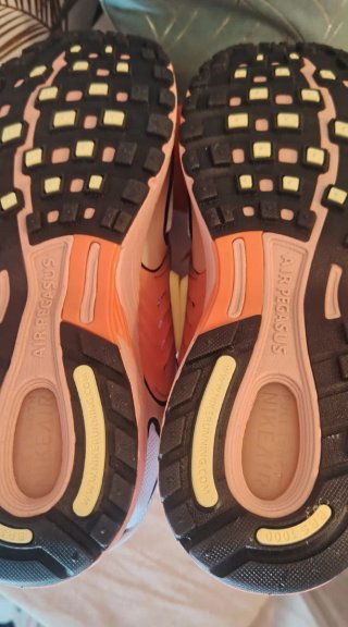 Nike Air Pegasus Wave Talla 44.5