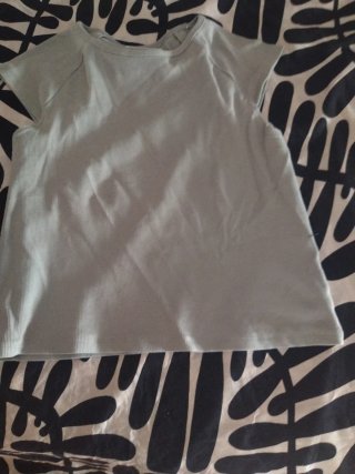 Camiseta Lefties Gris Talla M