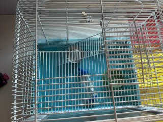 Jaula para hámster color turquesa y blanco