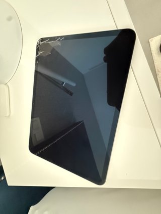 iPad Pro 11 M4 OLED 256GB Pantalla Dañada