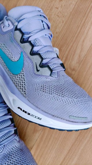 Zapatillas mujer Nike Pegasus 41