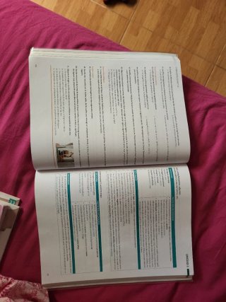 Lengua Castellana y Literatura, 2 Bach, Proyect...