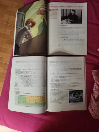 Lengua Castellana y Literatura, 2 Bach, Proyect...