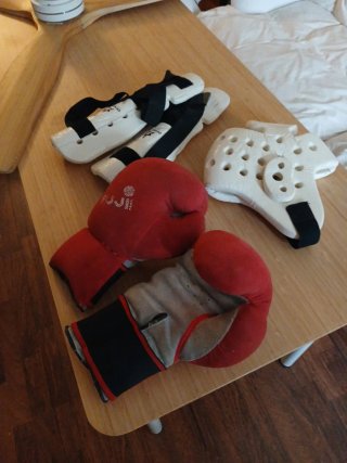 Protecciones Artes Marciales (Pares)