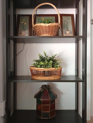 Estantería y decoración