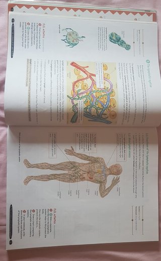 Biology & Geology 3º ESO. Student's book. GENiOX