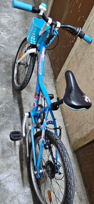 Bicicleta azul con cesta
