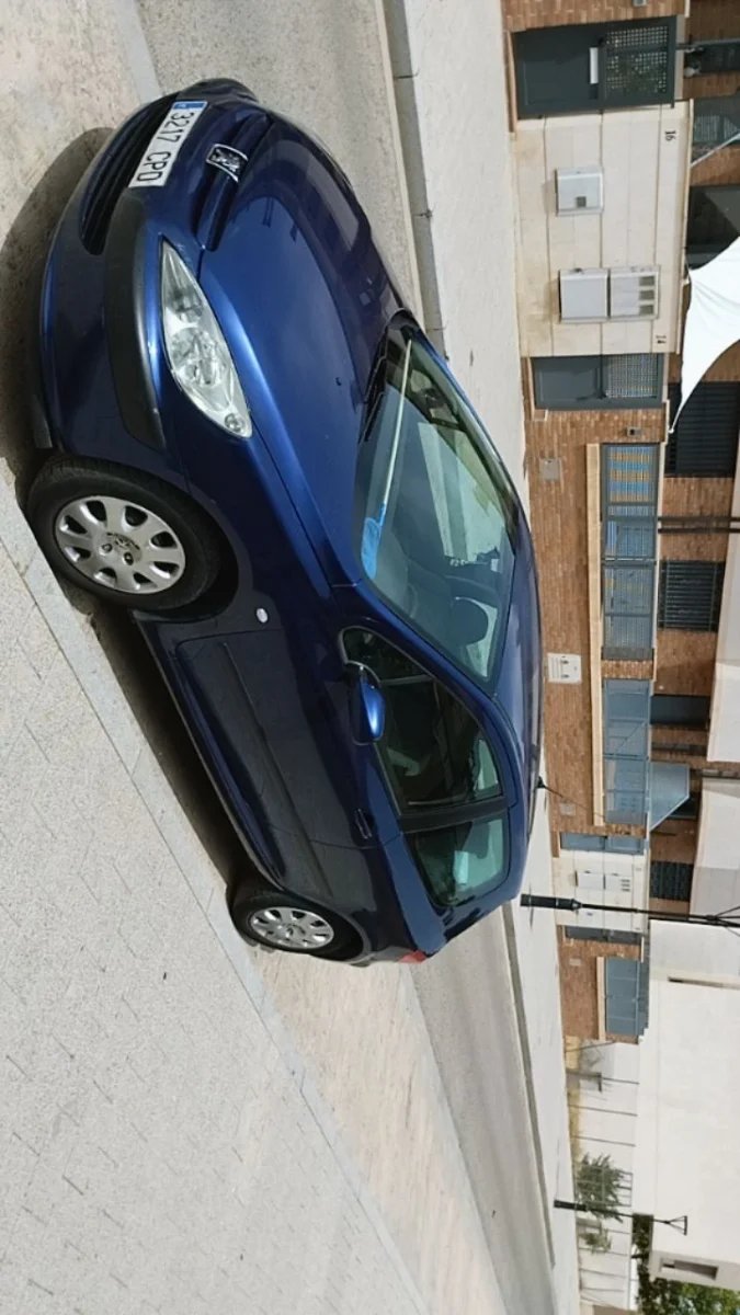 Peugeot 307 2003 - foto 1