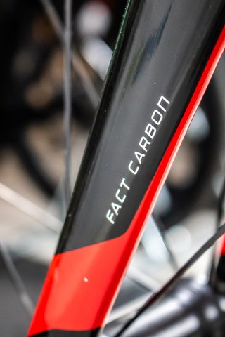 SPECIALIZED TARMAC 29 T-54 - BICICLETA SEGUNDA MANO - Talla: 54
