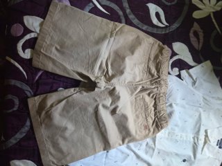 Conjunto Camisa y Pantalón Corto Vestir Niño